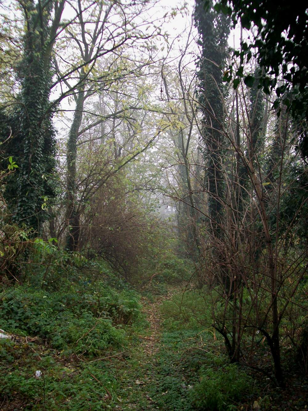 Antica strada denominata per San Giorgio di sotto